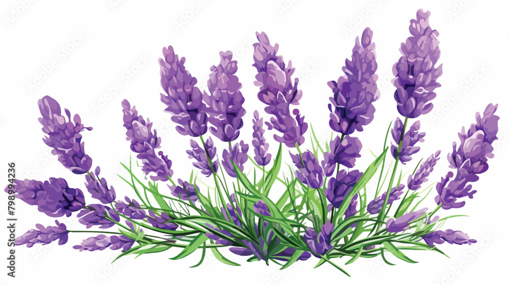 Lavender flower. Lavander floral branch with bloomi