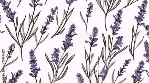 Lavender pattern. Seamless floral background outlin photo