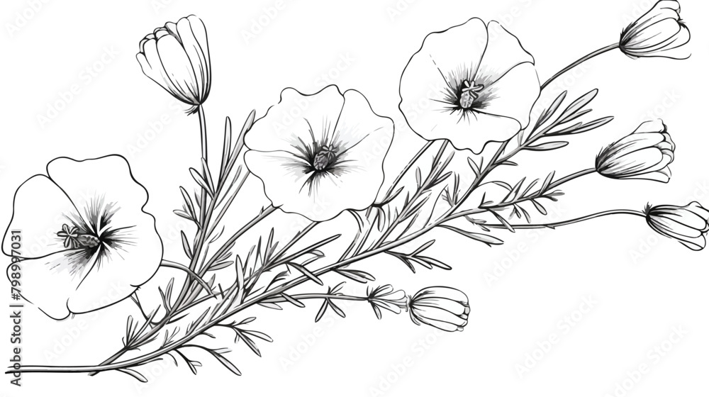 Linum floral plant with flaxseed. Outlined vintage