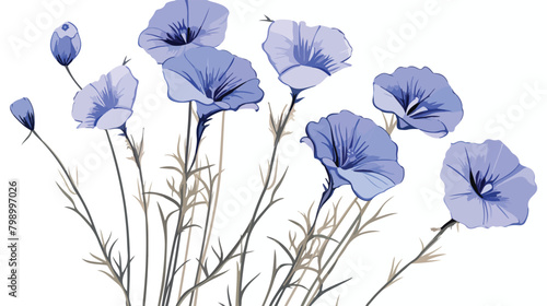 Linum floral plant with flaxseed. Outlined vintage photo