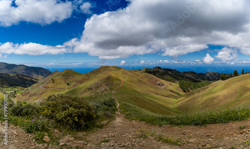  Lomo del Palo landscape with a blue sky. Monte Pavon. Galdar. Gran Canaria. Canary islands