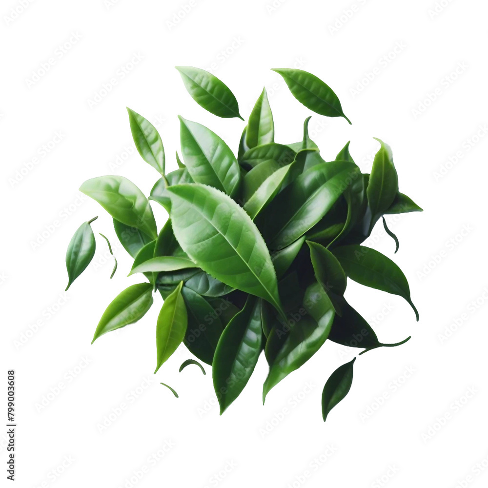 Tea lef leaves isolated on transparent background Ai generative.
