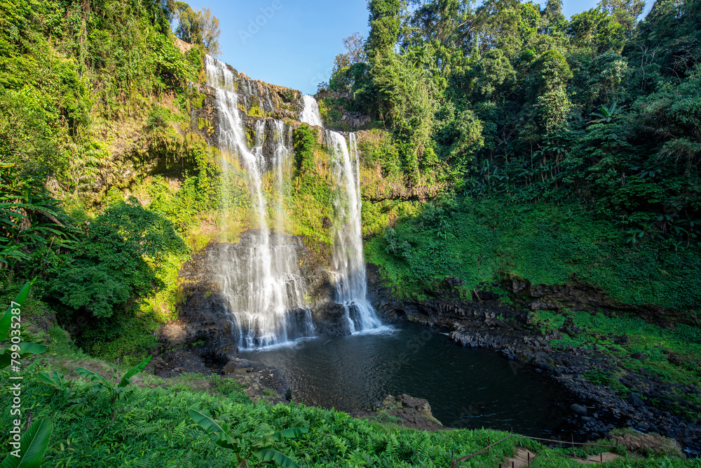 Fototapeta premium waterfall in the forest