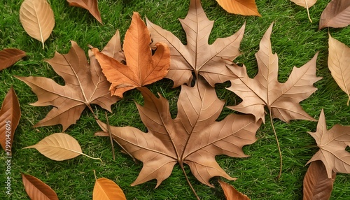 Background picture with autumn leaves