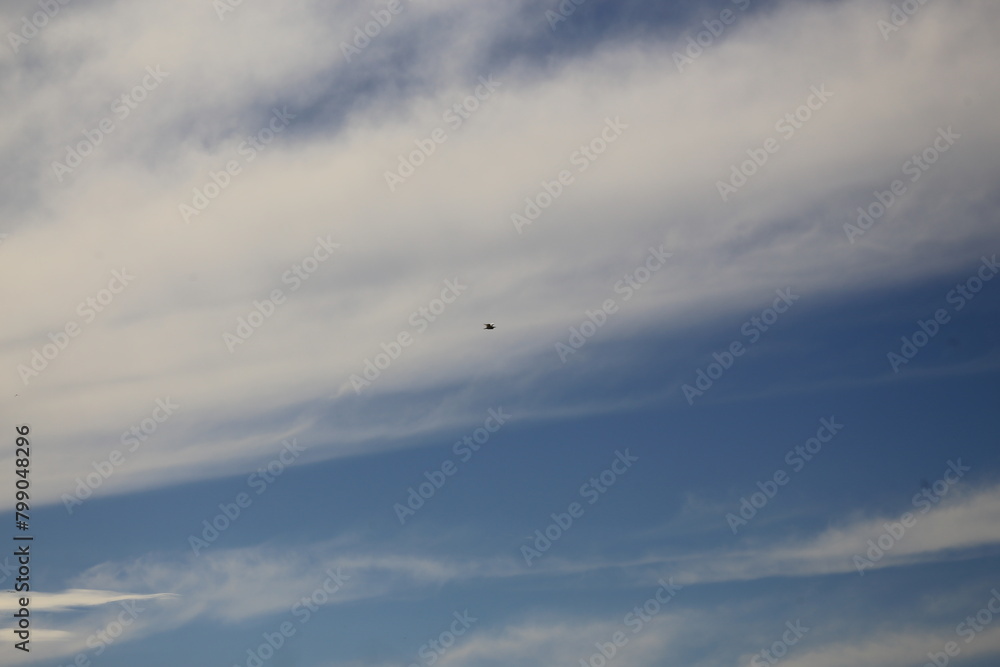 airplane flying over the clouds airplane flying over the clouds