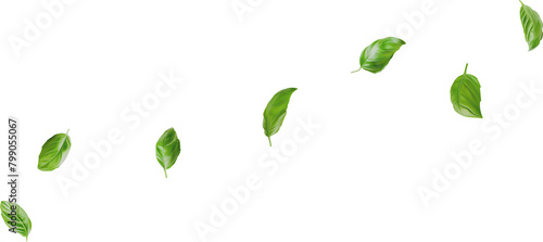 flying basil leaves