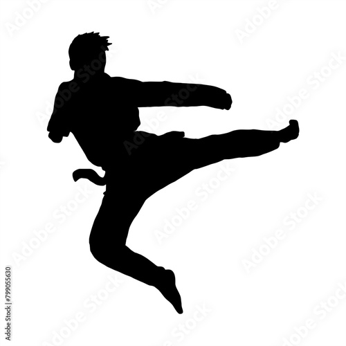 taekwondo kick vector