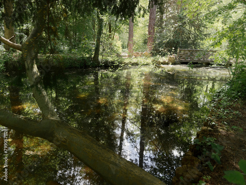Bois de Vincennes
