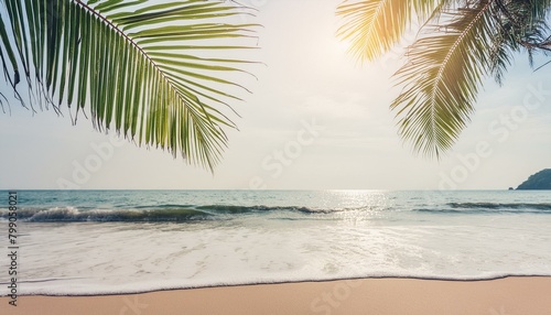 Sandy Splendor  Blurred Palm Leaf with Sunlight Waves on Beach