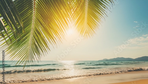 Coastal Charm: Vintage Filtered Palm Leaf Blur on Tropical Beach