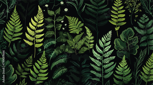 Fototapeta Naklejka Na Ścianę i Meble -  Natural seamless pattern with ferns and green herba