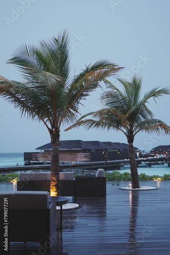 rainy day trees on the beach resort hotel