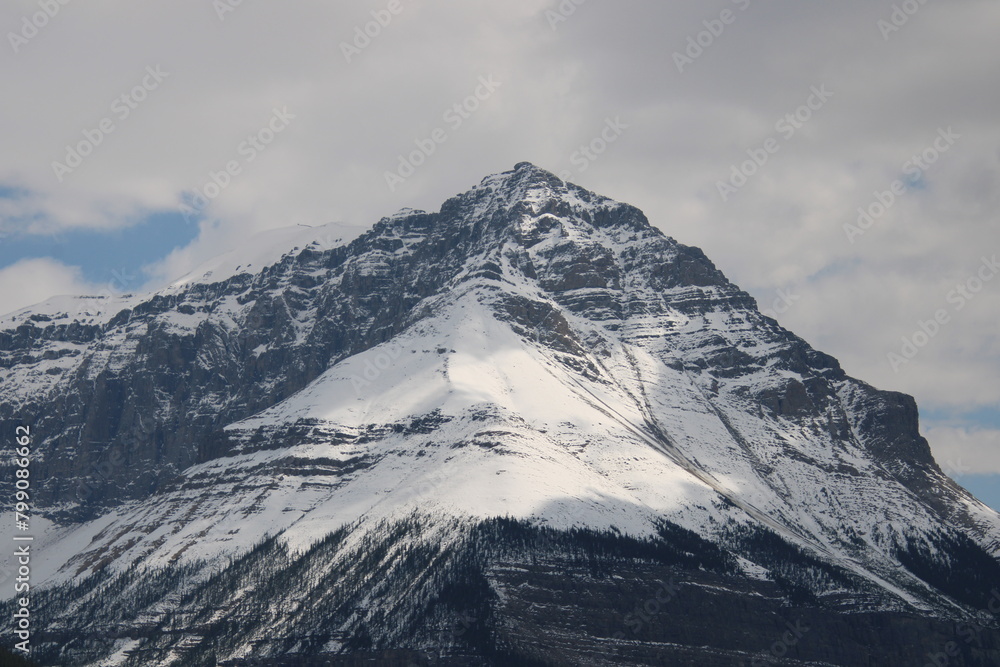 Snowy Peak, Jasper National Park, Alberta