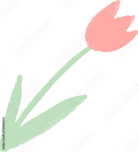 tulip flower with leaves simple png (ID: 799088424)