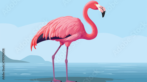 Pink flamingo vector illustration. Realistic hand d