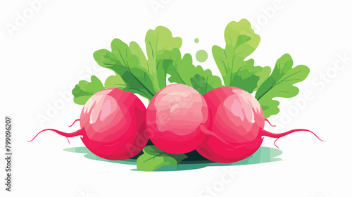 Pink radish tuber with tops. Fresh raw vegetable wi photo