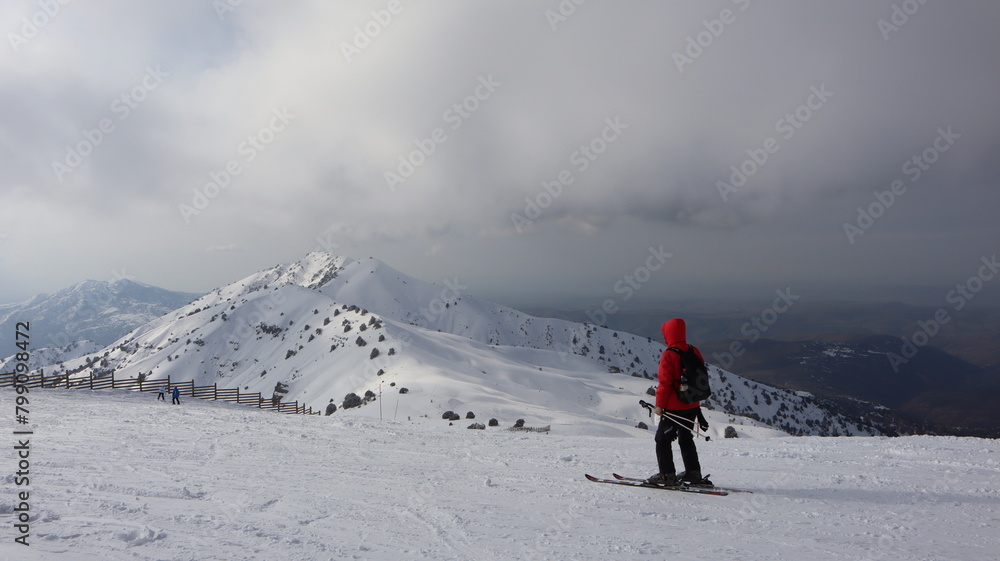 skier on the top of mountain