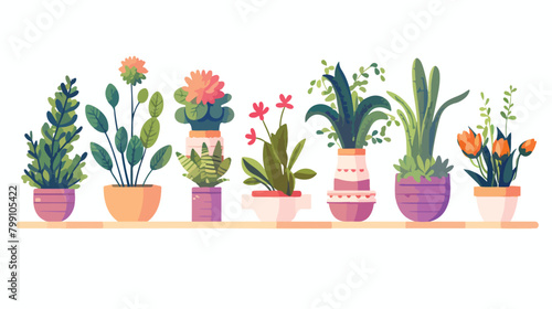 Potted houseplants flat vector illustration. Succul