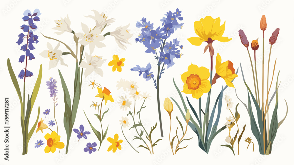 Realistic flowers drawn in retro style. Meadow flor