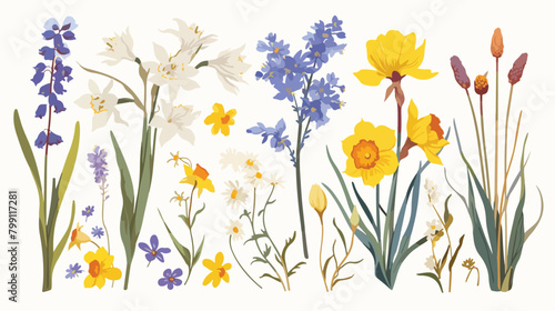 Realistic flowers drawn in retro style. Meadow flor © Photo