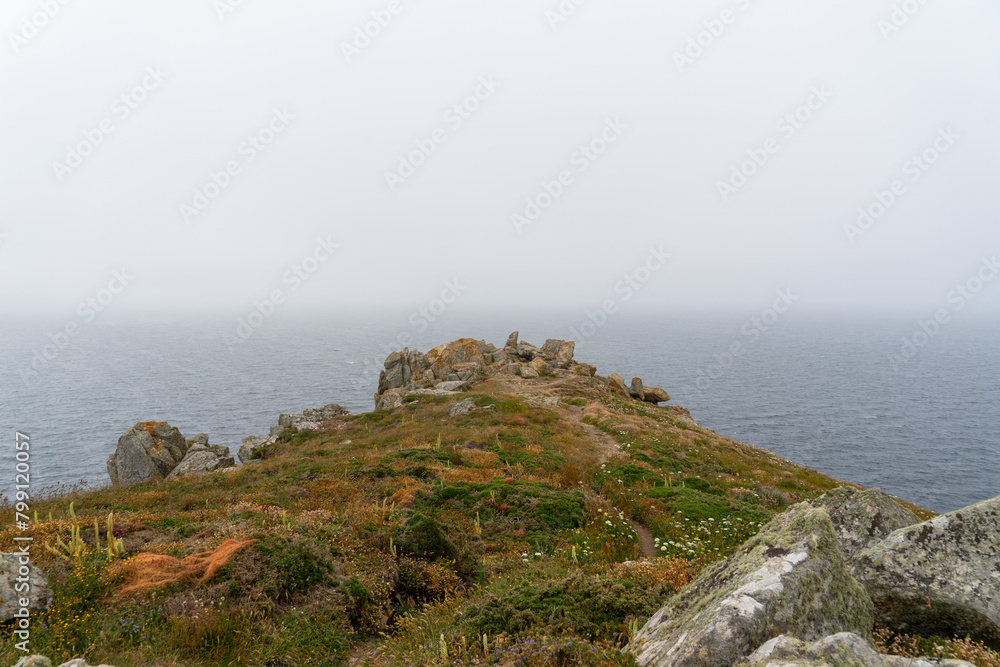 Côte sauvage du Finistère : parterre de fleurs sous une brume printanière, évoquant la magie du printemps en Bretagne.