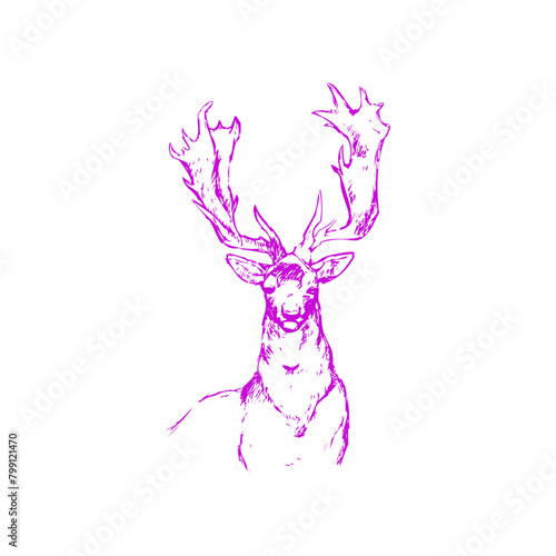 Deer Silhouette Vintage Logo Vector