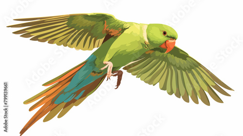 Ring-necked parrot flying. Tropical Indian ringneck