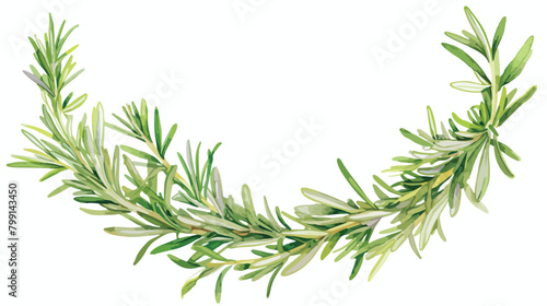 Round natural backdrop or wreath made of rosemary h