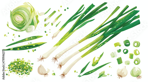 Scallion green spring onions. Fresh sibies stems an