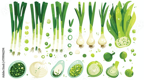 Scallion green spring onions. Fresh sibies stems an