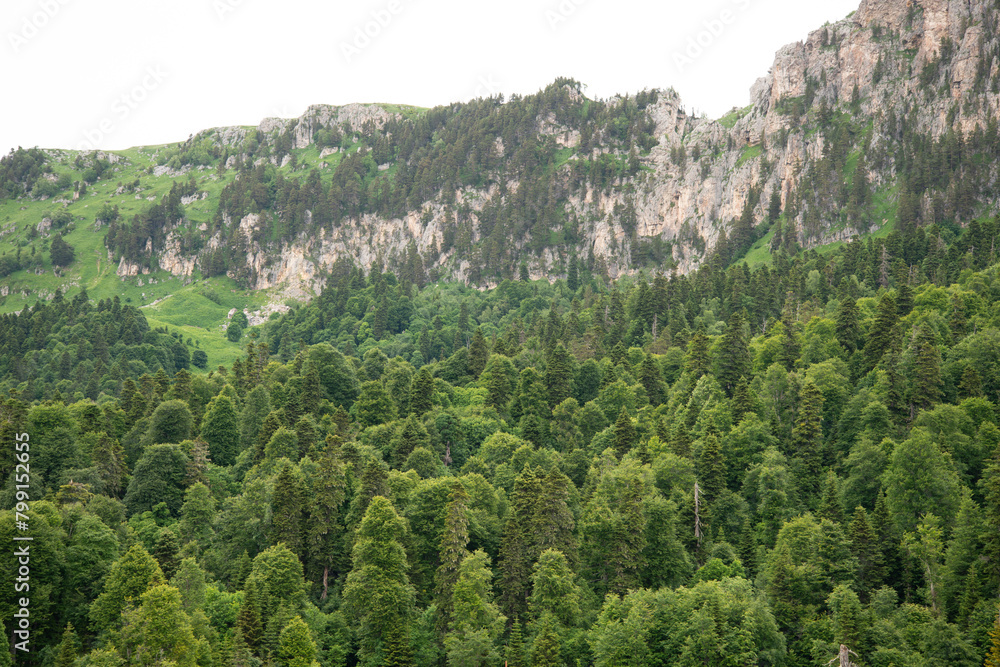 Beautiful mountain landscape in early spring.