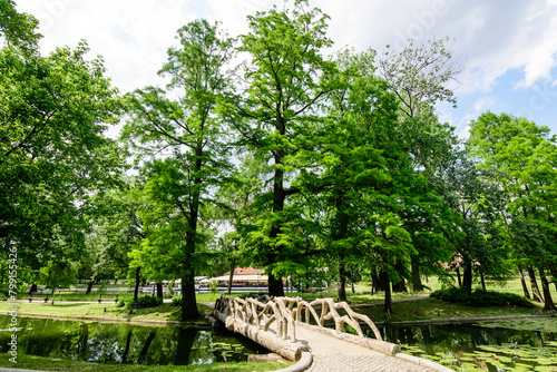 Vivid landscape in Nicolae Romaescu park from Craiova in Dolj county, Romania, with lake, waterlillies and large green tres in a beautiful sunny spring day with blue sky and white clouds photo