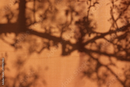Shadow of a tree branch on the outdoor curtain of the veranda