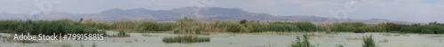 El Hondo Natural Park, Crevillente, Alicante, Spain, April 18, 2024: Panoramic of one of the lagoons with mountains in the background of the El Hondo natural park