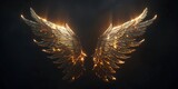 Flaming wings of a fallen angel, black background.燃え盛る堕天使の羽　背景は黒,Generative AI