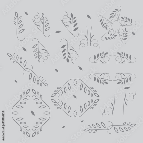 vector contour branch and leaves compositions. Elegant branches for decoration. hand drawing monochrome botanical illustration for backgrounds.