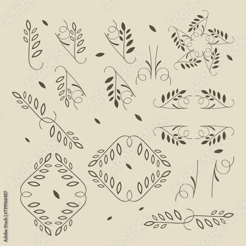 vector contour branch and leaves compositions. Elegant branches for decoration. hand drawing monochrome botanical illustration for backgrounds.