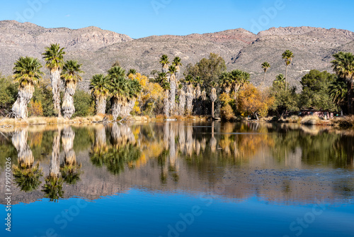 Agua Caliente Regional Park - Tucson Arizona