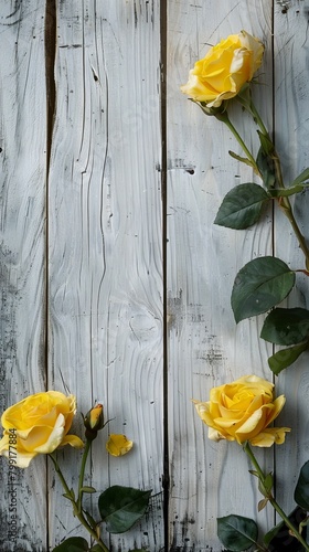 blank, mock up, yellow roses, flowers, wooden background, floral, petals, bleached planks, rustic, timber photo