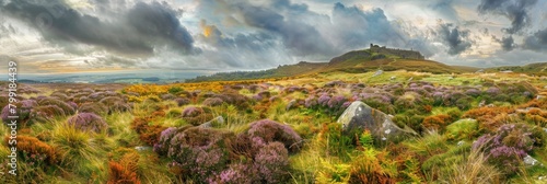 Moorland or Moor, Wuthering Heights, Heather Fields and Hills, Castle on Mountains, Copy Space
