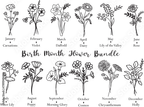 Vector Birth Month Flower