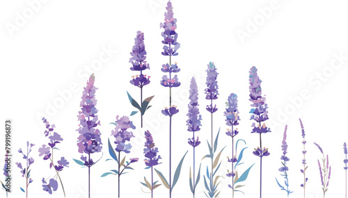  lavender clipart vector for graphic resources
