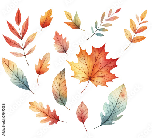 Autumn leaves collection isolated on transparent background. AI 