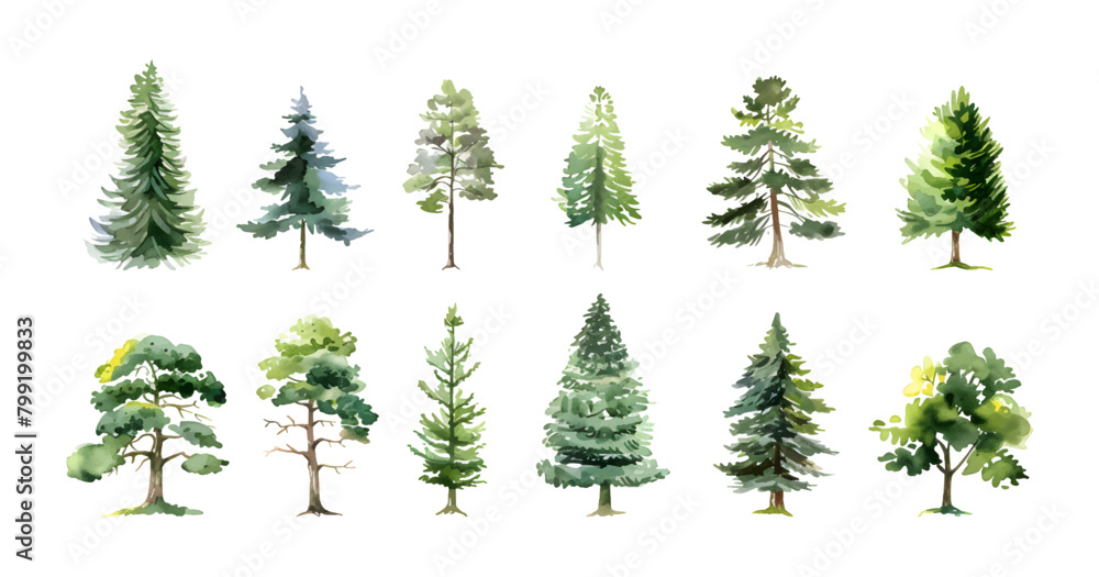 Set collection of hand drawn watercolor green tree and bush painting illustration