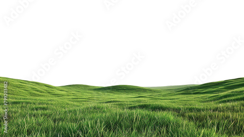 Verdant green grassy meadows stretching into the distance, isolated.