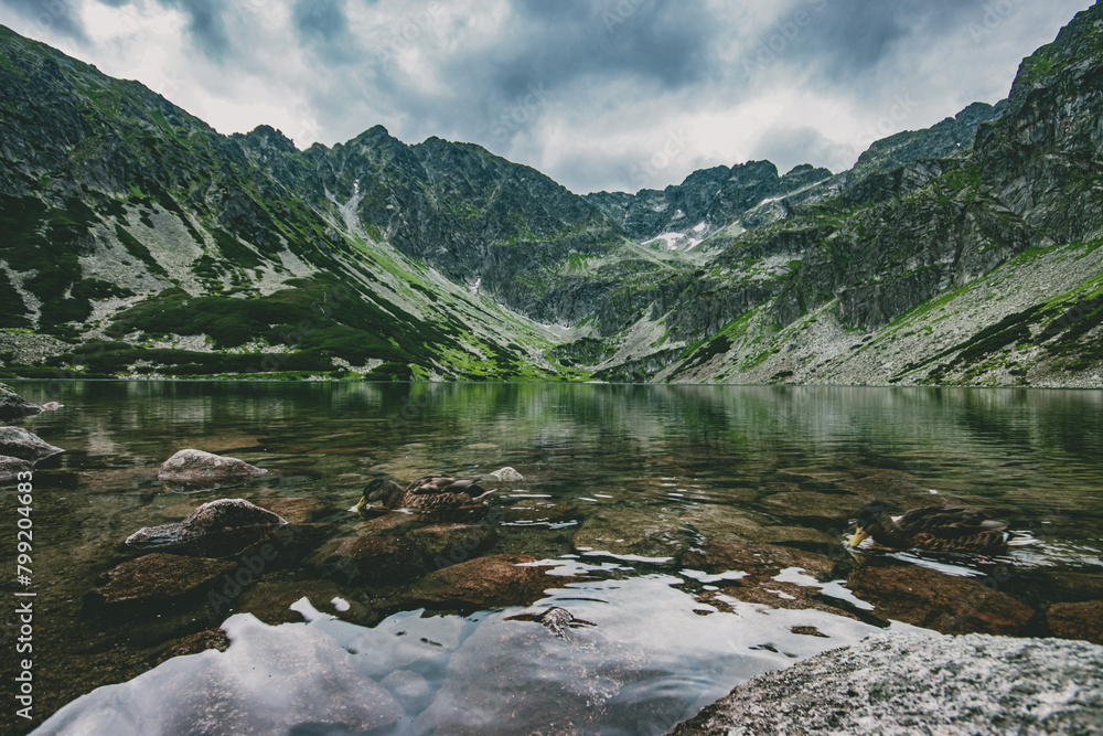 Fototapeta premium Górska wycieczka, w pochmurny dzień w Tatrzańskim Parku Narodowym
