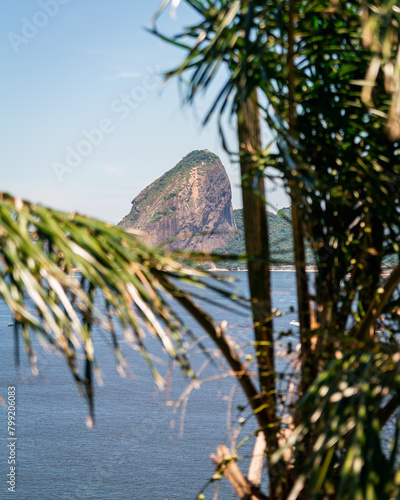 Pão de açúcar