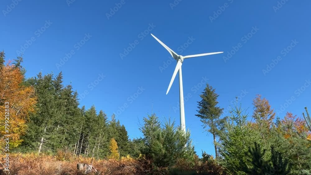 A white wind turbine in the countryside, surrounded by forest and against a backdrop of blue sky. A white wind turbine in the countryside, surrounded by forest and against a backdrop of blue sky.