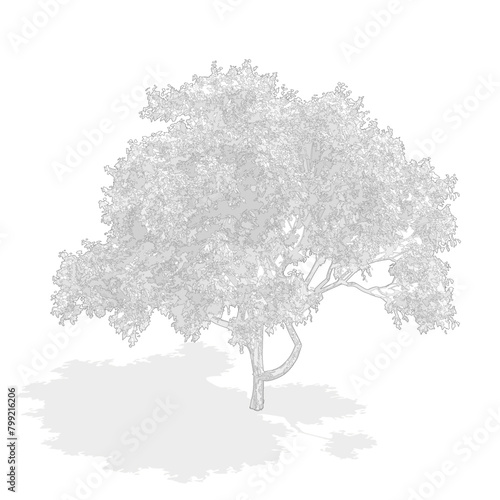 Axonometric tree, cad tree