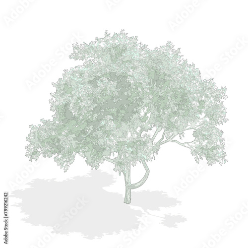 Axonometric tree, cad tree